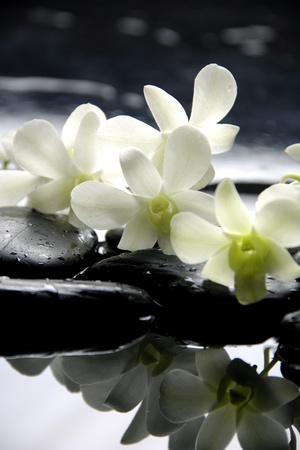 Zen Stones And Branch White Orchids With Reflection