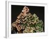 Crystalline Structure of the Element Bismuth-Walter Geiersperger-Framed Photographic Print