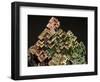 Crystalline Structure of the Element Bismuth-Walter Geiersperger-Framed Photographic Print