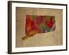 CT Colorful Counties-Red Atlas Designs-Framed Giclee Print