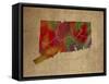 CT Colorful Counties-Red Atlas Designs-Framed Stretched Canvas