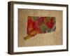 CT Colorful Counties-Red Atlas Designs-Framed Giclee Print