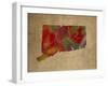 CT Colorful Counties-Red Atlas Designs-Framed Giclee Print