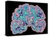 CT Scan of Brain-PASIEKA-Stretched Canvas