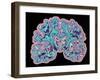 CT Scan of Brain-PASIEKA-Framed Photographic Print