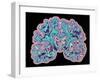 CT Scan of Brain-PASIEKA-Framed Photographic Print