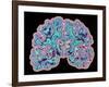 CT Scan of Brain-PASIEKA-Framed Photographic Print