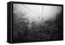 Framed Canvas