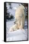 Cub Looking Up to Mother-Howard Ruby-Framed Stretched Canvas