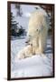 Cub Looking Up to Mother-Howard Ruby-Framed Photographic Print