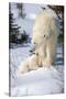 Cub Looking Up to Mother-Howard Ruby-Stretched Canvas