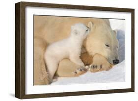 Cub Whispering to Mother-Howard Ruby-Framed Premium Photographic Print