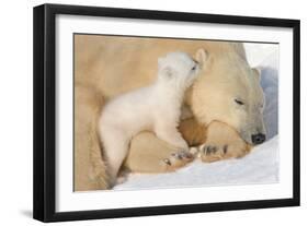 Cub Whispering to Mother-Howard Ruby-Framed Photographic Print