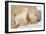 Cub Whispering to Mother-Howard Ruby-Framed Photographic Print