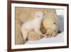 Cub Whispering to Mother-Howard Ruby-Framed Photographic Print