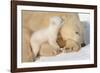 Cub Whispering to Mother-Howard Ruby-Framed Photographic Print