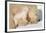 Cub Whispering to Mother-Howard Ruby-Framed Photographic Print