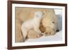 Cub Whispering to Mother-Howard Ruby-Framed Photographic Print