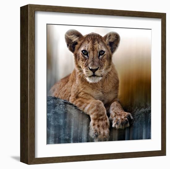 Cub-Bobbie Goodrich-Framed Art Print