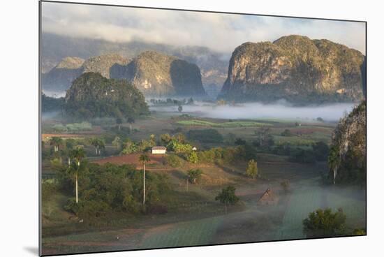 Cuba, a Farming Region Rich in Tobacco-Brenda Tharp-Mounted Photographic Print