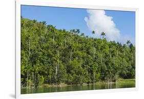 Cuba. Artemisa. Las Terrazas. UNESCO Biosphere Preserve and Eco-Community in the Rosario Mountains-Inger Hogstrom-Framed Photographic Print