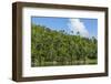 Cuba. Artemisa. Las Terrazas. UNESCO Biosphere Preserve and Eco-Community in the Rosario Mountains-Inger Hogstrom-Framed Photographic Print