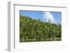 Cuba. Artemisa. Las Terrazas. UNESCO Biosphere Preserve and Eco-Community in the Rosario Mountains-Inger Hogstrom-Framed Photographic Print