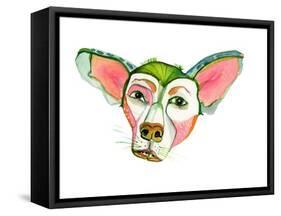 Cuba Dog, Jorge-Stacy Milrany-Framed Stretched Canvas