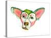 Cuba Dog, Jorge-Stacy Milrany-Stretched Canvas