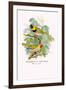 Cuba Finch-Arthur G. Butler-Framed Art Print