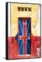 Cuba Fuerte Collection - "830 Guille" English Door-Philippe Hugonnard-Framed Stretched Canvas