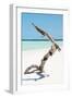 Cuba Fuerte Collection - Alone on the White Sandy Beach II-Philippe Hugonnard-Framed Photographic Print