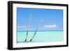 Cuba Fuerte Collection - Aquatic Tree II-Philippe Hugonnard-Framed Photographic Print