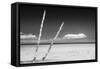 Cuba Fuerte Collection B&W - Alone in the Ocean II-Philippe Hugonnard-Framed Stretched Canvas