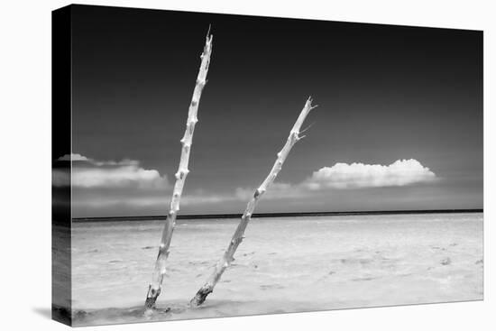 Cuba Fuerte Collection B&W - Alone in the Ocean II-Philippe Hugonnard-Stretched Canvas