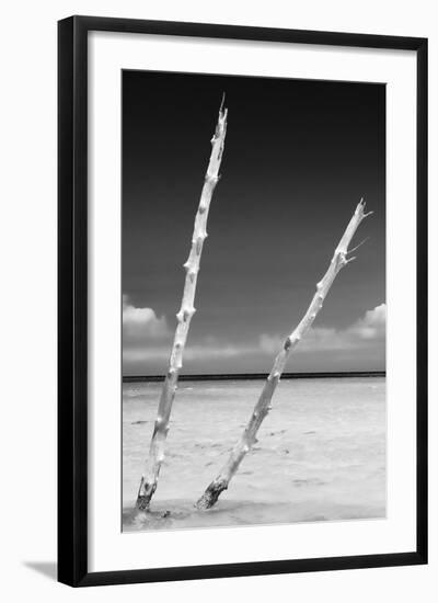 Cuba Fuerte Collection B&W - Alone in the Ocean III-Philippe Hugonnard-Framed Photographic Print