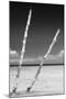 Cuba Fuerte Collection B&W - Alone in the Ocean III-Philippe Hugonnard-Mounted Photographic Print