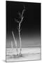 Cuba Fuerte Collection B&W - Alone in the Ocean IV-Philippe Hugonnard-Mounted Photographic Print