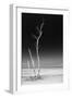 Cuba Fuerte Collection B&W - Alone in the Ocean IV-Philippe Hugonnard-Framed Photographic Print