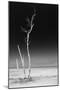 Cuba Fuerte Collection B&W - Alone in the Ocean IV-Philippe Hugonnard-Mounted Photographic Print