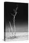 Cuba Fuerte Collection B&W - Alone in the Ocean IV-Philippe Hugonnard-Stretched Canvas