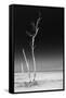 Cuba Fuerte Collection B&W - Alone in the Ocean IV-Philippe Hugonnard-Framed Stretched Canvas