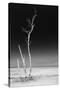 Cuba Fuerte Collection B&W - Alone in the Ocean IV-Philippe Hugonnard-Stretched Canvas