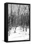 Cuba Fuerte Collection B&W - Desert of White Trees III-Philippe Hugonnard-Framed Stretched Canvas