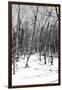 Cuba Fuerte Collection B&W - Desert of White Trees III-Philippe Hugonnard-Framed Photographic Print