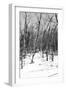 Cuba Fuerte Collection B&W - Desert of White Trees III-Philippe Hugonnard-Framed Photographic Print