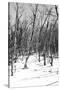 Cuba Fuerte Collection B&W - Desert of White Trees III-Philippe Hugonnard-Stretched Canvas