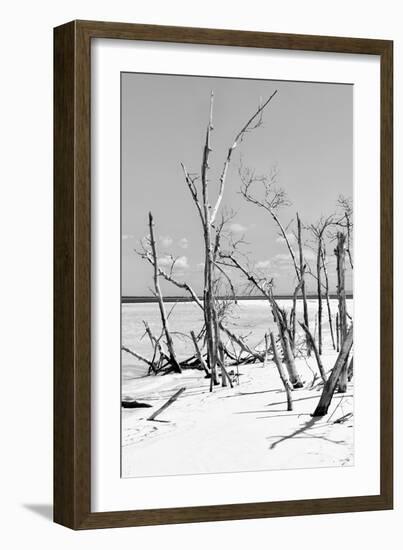 Cuba Fuerte Collection B&W - Desert of White Trees V-Philippe Hugonnard-Framed Photographic Print