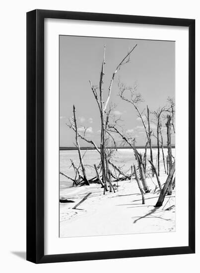 Cuba Fuerte Collection B&W - Desert of White Trees V-Philippe Hugonnard-Framed Photographic Print