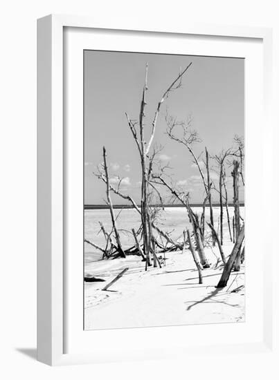 Cuba Fuerte Collection B&W - Desert of White Trees V-Philippe Hugonnard-Framed Photographic Print